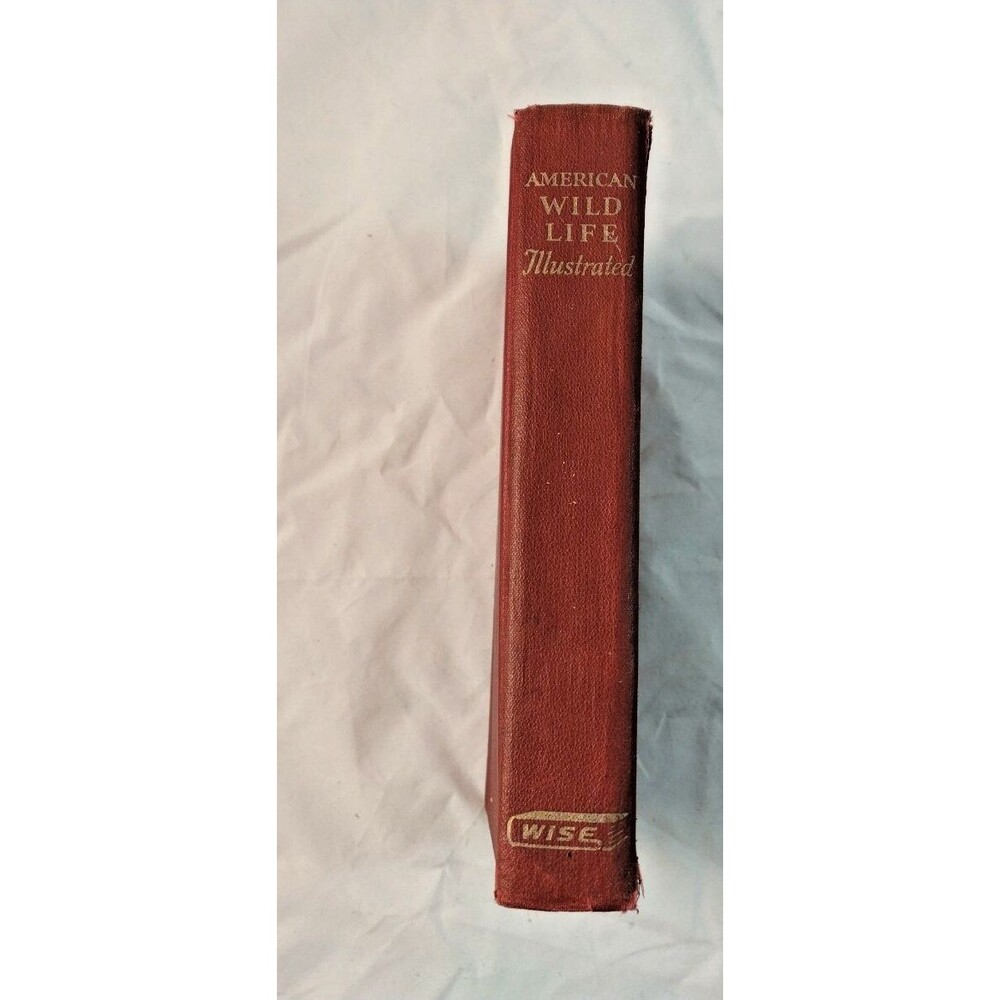American Wildlife Illustrated 1955 Wise